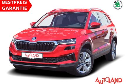 Skoda Karoq Gebrauchtwagen