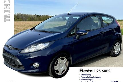 Ford Fiesta Gebrauchtwagen