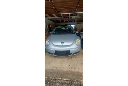 VW Beetle Gebrauchtwagen