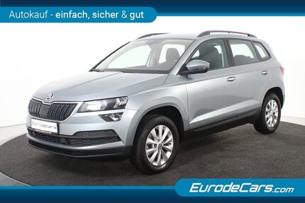 Skoda Karoq Gebrauchtwagen