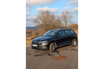 Skoda Karoq Gebrauchtwagen