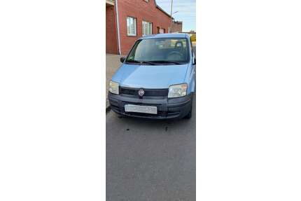 Fiat Panda Gebrauchtwagen
