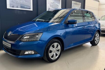 Skoda Fabia Gebrauchtwagen