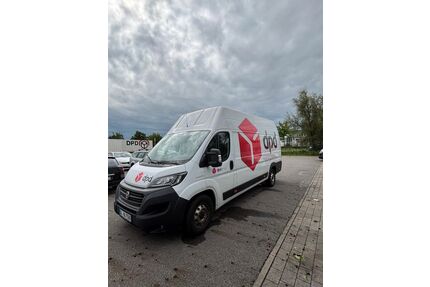 Fiat Ducato Gebrauchtwagen