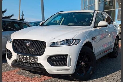 Jaguar F-Pace Gebrauchtwagen