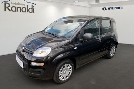Fiat Panda Gebrauchtwagen