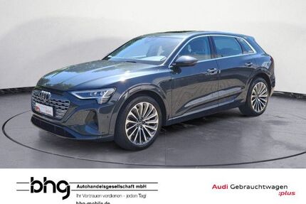 Audi Q8 e-tron Gebrauchtwagen
