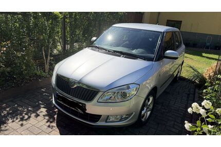 Skoda Fabia Gebrauchtwagen