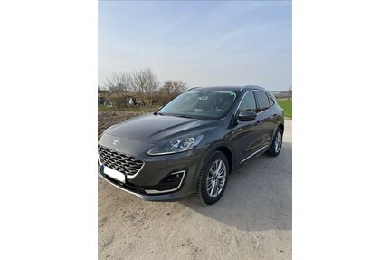 Ford Kuga Gebrauchtwagen