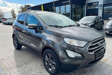 Ford EcoSport Gebrauchtwagen