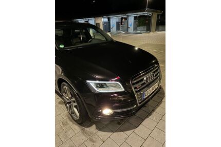 Audi SQ5 Gebrauchtwagen