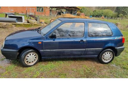VW Golf Gebrauchtwagen