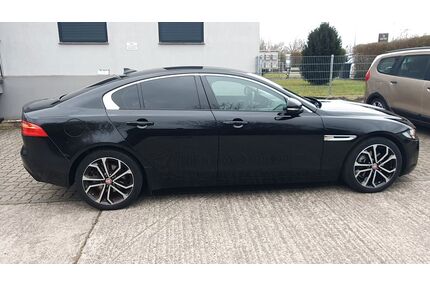 Jaguar XE Gebrauchtwagen