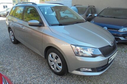 Skoda Fabia Gebrauchtwagen