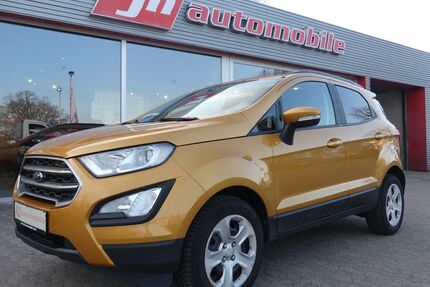 Ford EcoSport Gebrauchtwagen