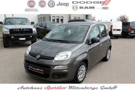 Fiat Panda Gebrauchtwagen