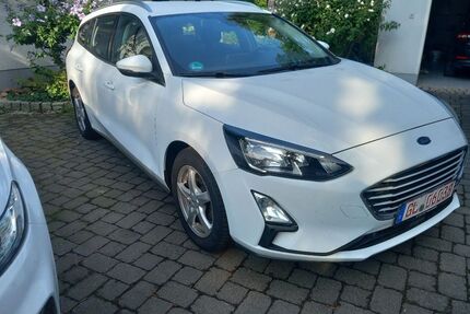 Ford Focus Gebrauchtwagen