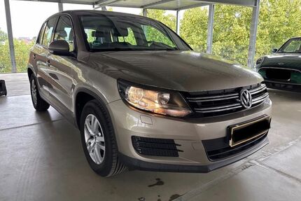 VW Tiguan Gebrauchtwagen