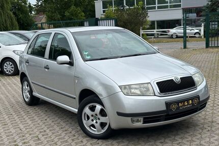 Skoda Fabia Gebrauchtwagen