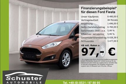 Ford Fiesta Gebrauchtwagen