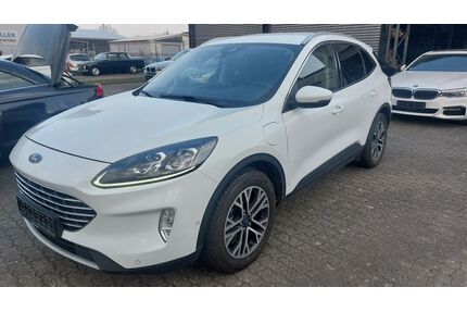 Ford Kuga Gebrauchtwagen