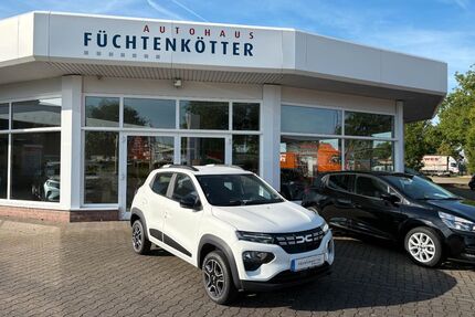 Dacia Spring Gebrauchtwagen