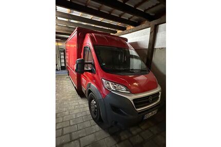 Fiat Ducato Gebrauchtwagen