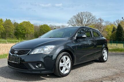 Kia ceed / Ceed Gebrauchtwagen