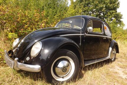 VW Käfer Gebrauchtwagen
