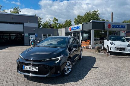 Suzuki Swace Gebrauchtwagen