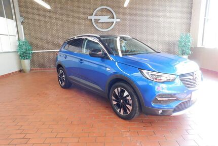 Opel Grandland (X) Gebrauchtwagen