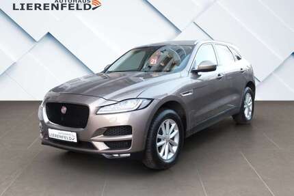 Jaguar F-Pace Gebrauchtwagen
