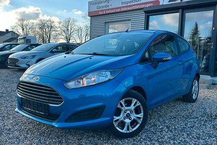 Ford Fiesta Gebrauchtwagen
