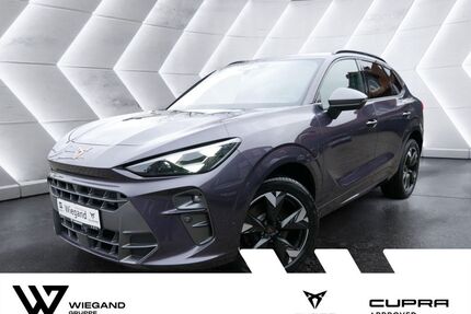 Cupra Terramar Gebrauchtwagen