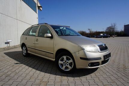Skoda Fabia Gebrauchtwagen
