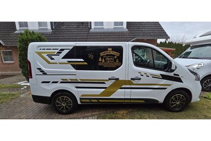 Renault Trafic Gebrauchtwagen