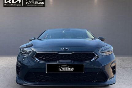 Kia ceed / Ceed Gebrauchtwagen