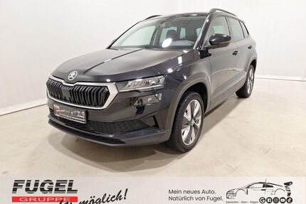Skoda Karoq Gebrauchtwagen