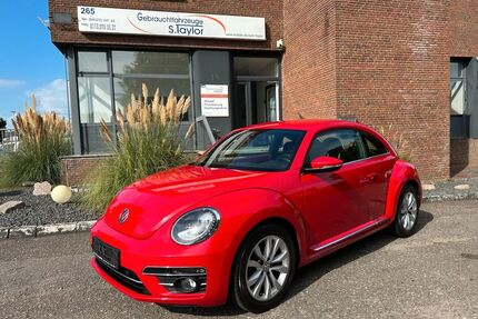 VW Beetle Gebrauchtwagen
