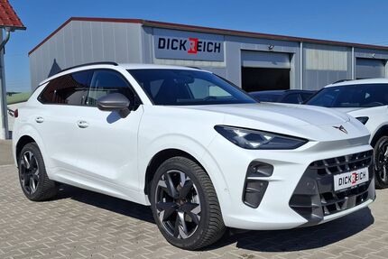 Cupra Terramar Gebrauchtwagen
