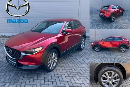 Mazda CX-30 Gebrauchtwagen