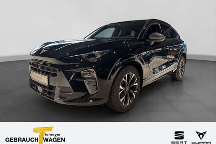 Cupra Terramar Gebrauchtwagen
