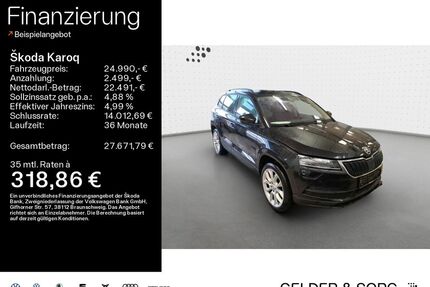 Skoda Karoq Gebrauchtwagen