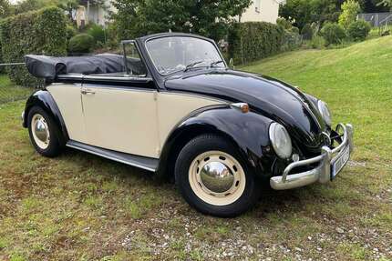 VW Käfer Gebrauchtwagen