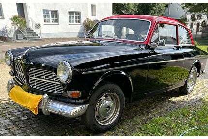 Volvo Amazon Gebrauchtwagen