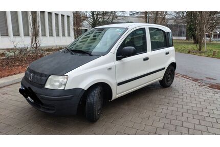 Fiat Panda Gebrauchtwagen
