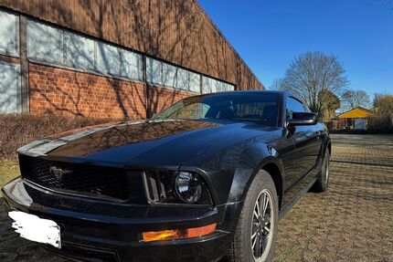 Ford Mustang Gebrauchtwagen