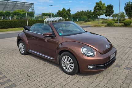 VW Beetle Gebrauchtwagen