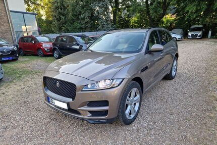 Jaguar F-Pace Gebrauchtwagen