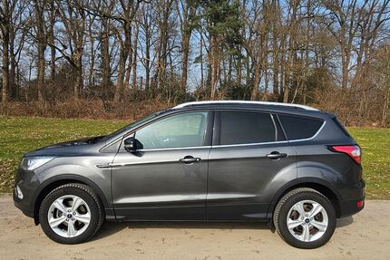 Ford Kuga Gebrauchtwagen